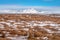 The dried grass field or pile of hay in the snow covered forest