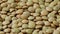 Dried green lentils close up full frame