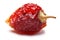 Dried habanero, clipping paths