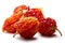 Dried habaneros, clipping paths