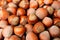 Dried hazelnuts close up view, harvested fruits in summer, nuts background