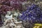 Dried herbs, flowers and arabic spices in the souk at Deira in D