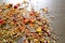 Dried Herbs on gray / grey slate background -chamomile, hibiscus, arnica,  elder flower, rose bud and rosemary