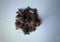 Dried Herbs Nut grass (Cyperus rotundus)
