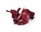 Dried hibiscus sabdariffa or roselle fruits