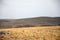 Dried hilly steppe with yellowed grass under a cloudy autumn sky