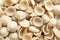 Dried italian orecchiette pasta food background