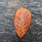 Dried jackfruit leaves on the street