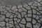 Dried land, dead earth, cracks