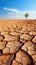 Dried land in the desert Cracked soil crust climate change