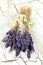 Dried lavender