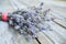 Dried Lavender Flower Aromatic Plant