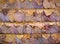 Dried Leaf Texture, haystack roof.