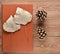 Dried leaves on a book, pine cones on a wooden table. Top view.