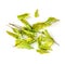 Dried leaves of lovage on white background