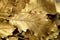 dried leaves made of gold