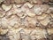 Dried leaves Teak leaves wall background