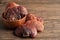 Dried lingzhi in bowl mushroom on wooden background