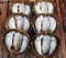 dried mackerel in thailand market