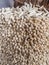 Dried maize or corn cobs stacked to be used as fuel for wood fire, Ha Kome Cave Homes, Lesotho, Southern Africa