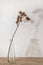 Dried meadow grass bouquet in clear glass bottle aesthetic sun light shadows on neutral wall, minimalist floral interior design,