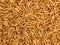 Dried Mealworms Background