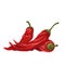 Dried Mexican Peppers icon