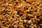 Dried mixture of walnuts and dried fruits close-up. Mix for adding to baked goods. Healthy vegan food