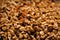 Dried mixture of walnuts and dried fruits close-up. Mix for adding to baked goods. Healthy vegan food