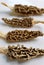 Dried Morel Mushrooms on White Background