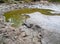 Dried mud in the pond. Close, landscape. A dried-up pond. climate change, ecological catastrophe of the Earth, death of plants and