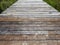 Dried muddy animal footprints of raccoon, deer, possums and more on a wooden dock