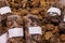 Dried mushrooms that are sold in packs