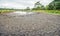 Dried natural pond in a Dutch nature reserve