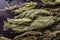 Dried nettle on a black kitchen table. Dry leaves of nettles bound in a bunch