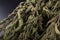 Dried nettle on a black kitchen table. Dry leaves of nettles bound in a bunch