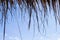 Dried nipa leaves roof with clear blue sky backdrop