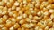 Dried orange corn kernels full frame close up