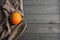 Dried organic austrian green pumpkin seeds with pumpkin on wooden dark background. Healthy food. Copy space