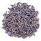 Dried Organic True Lavender Lavandula angustifolia