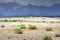 Dried out bottom of Forggensee lake in Bavaria