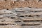 Dried out, dead Saguaro Cactus wood on the Arizona desert floor