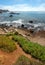 Dried out driftwood log on rocky coastline at Cambria on the Central coast of California USA