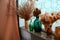 Dried palm leaves and reed branches in glass jars. Home decor stands on the windowsill