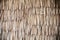 Dried palm texture