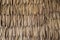 Dried palm texture