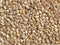 Dried pearl barley