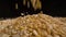 Dried peas are poured on a table, black background.