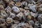 Dried persimmon texture background, close-up, top view. Preserved persimmon