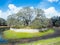 Dried pond in Florida